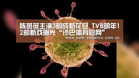陈茵薇主演3部成新花旦 TVB明年12部新戏曝光“沙巴体育官网”(图3) 沙巴足球