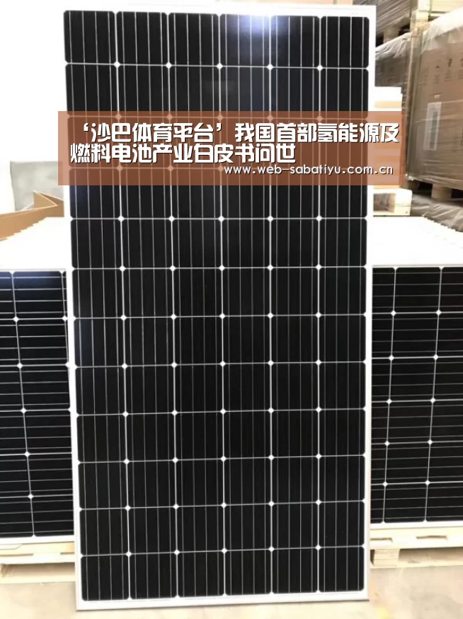 ‘沙巴体育平台’我国首部氢能源及燃料电池产业白皮书问世(图3) 沙巴体育