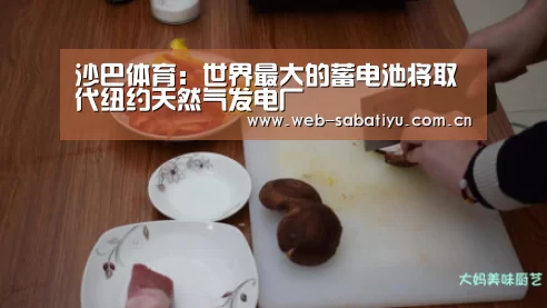 沙巴体育:世界最大的蓄电池将取代纽约天然气发电厂(图2) 沙巴体育平台